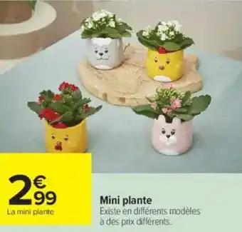 Mini plante