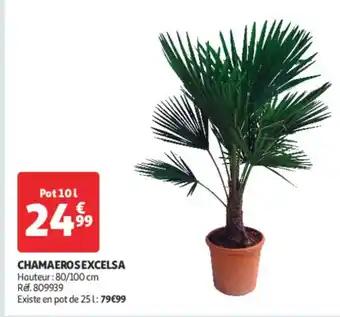 Chama erox Excelsa 10 L