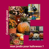 Catalogue Delbard en ligne du 28 au 31 octobre 2024