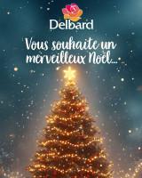 Catalogue Delbard en ligne du 30 décembre au 01 janvier 2024