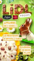 Catalogue Lidl en ligne du 13 mars au 27 avril 2025