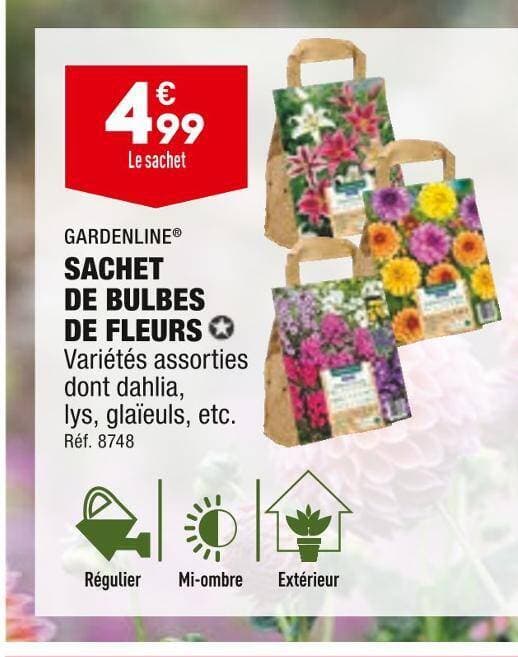 GARDENLINE SACHET DE BULBES DE FLEURS