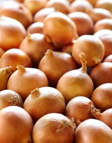 Oignon jaune CARREFOUR BIO