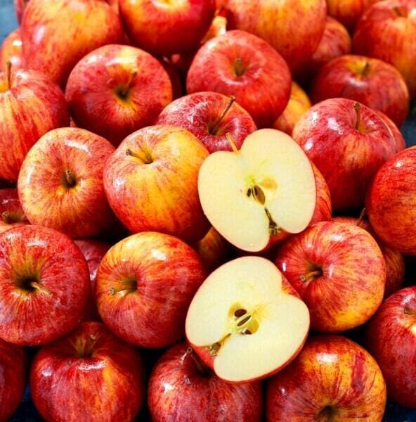 Pomme Gala FILIERE QUALITE CARREFOUR