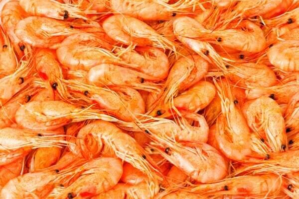 Crevette rose cuite ASC