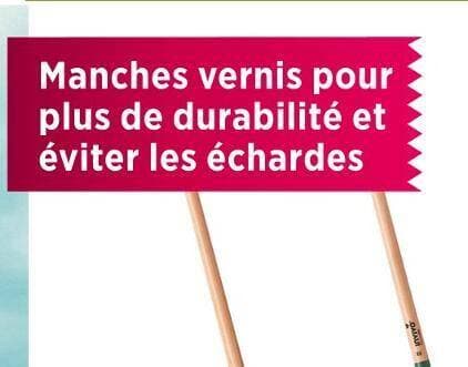 INVIVO Nous on sème MANCHES BOIS POUR FOURCHE AÉRATRICE