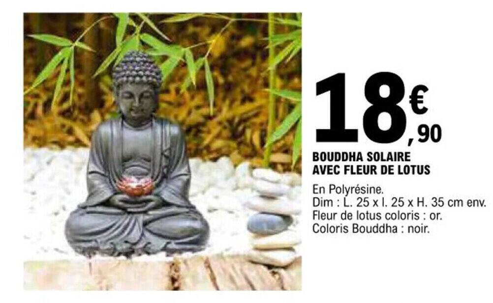 BOUDDHA SOLAIRE AVEC FLEUR DE LOTUS