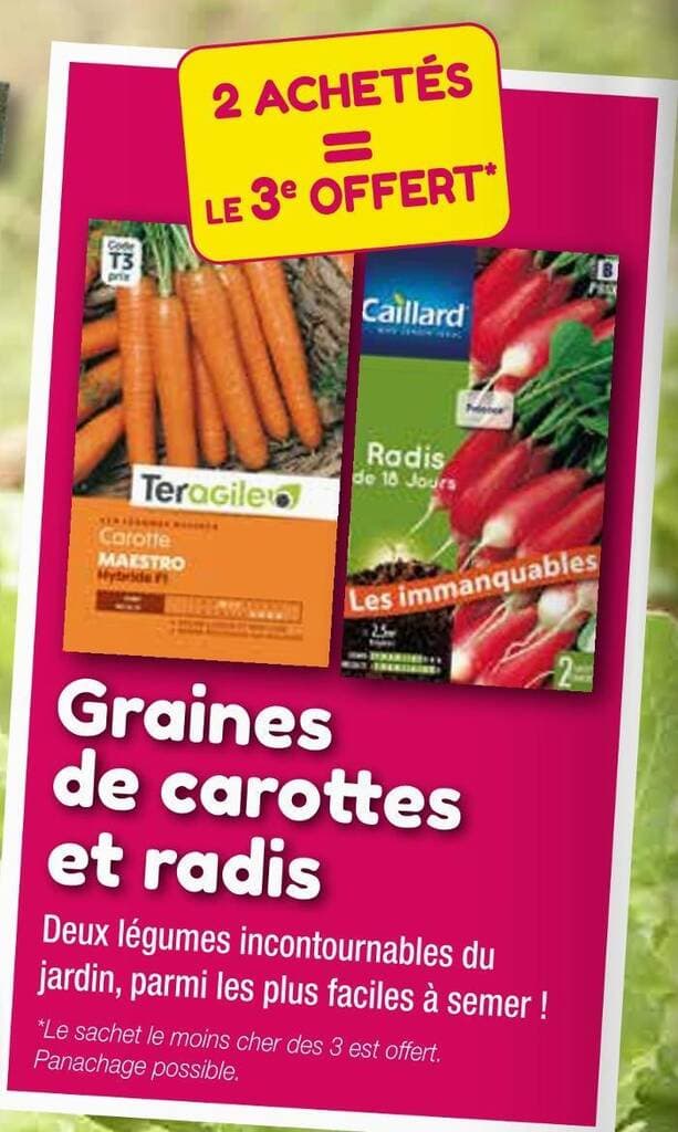 Teragile/ Caillard Graines de carottes et radis
