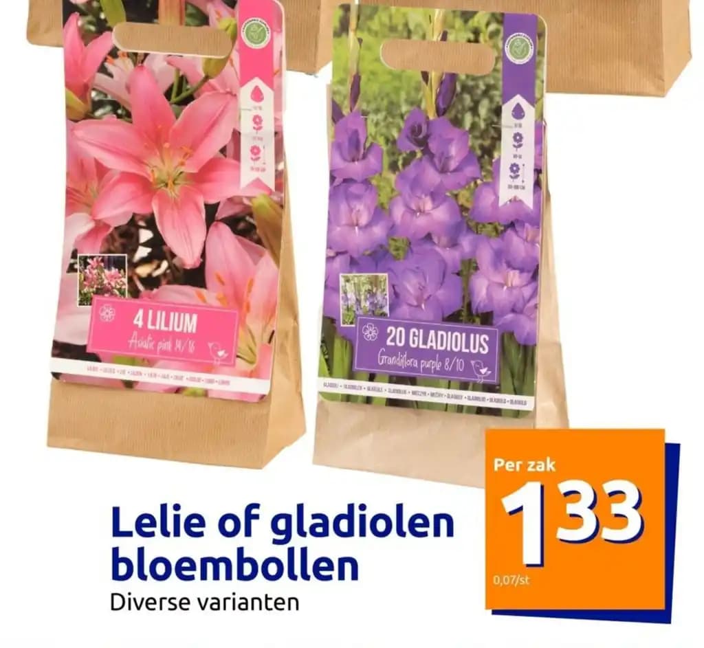 Lelie of gladiolen bloembollen