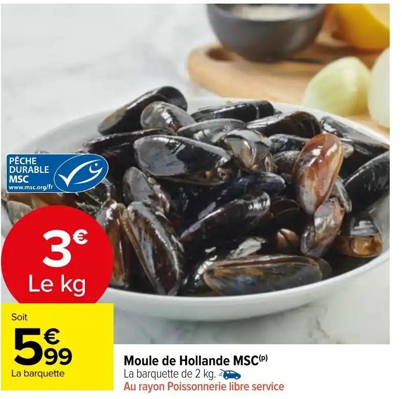 Moule de Hollande MSC(P)