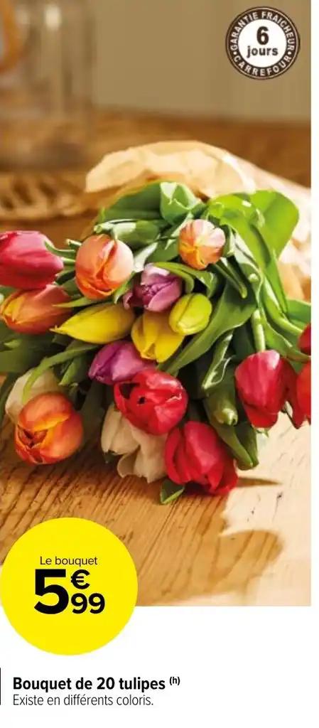 Bouquet de 20 tulipes (h)