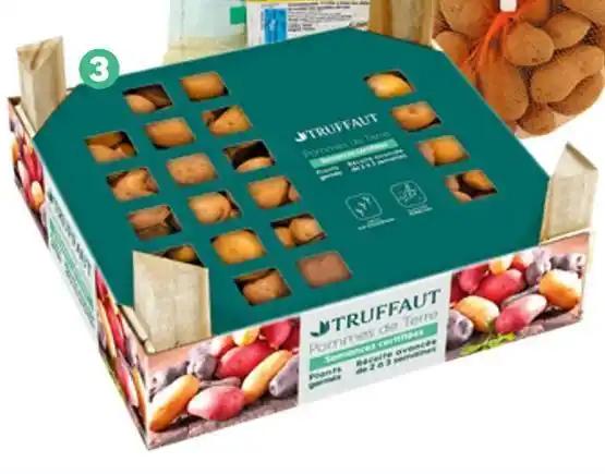 TRUFFAUT PLANTS POMMES DE TERRE