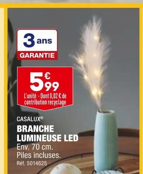 CASALUX BRANCHE LUMINEUSE LED