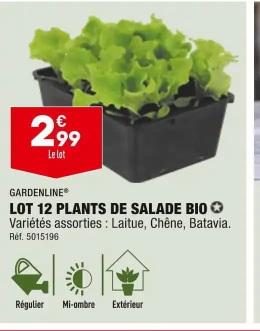 GARDENLINE LOT 12 PLANTS DE SALADE BIO