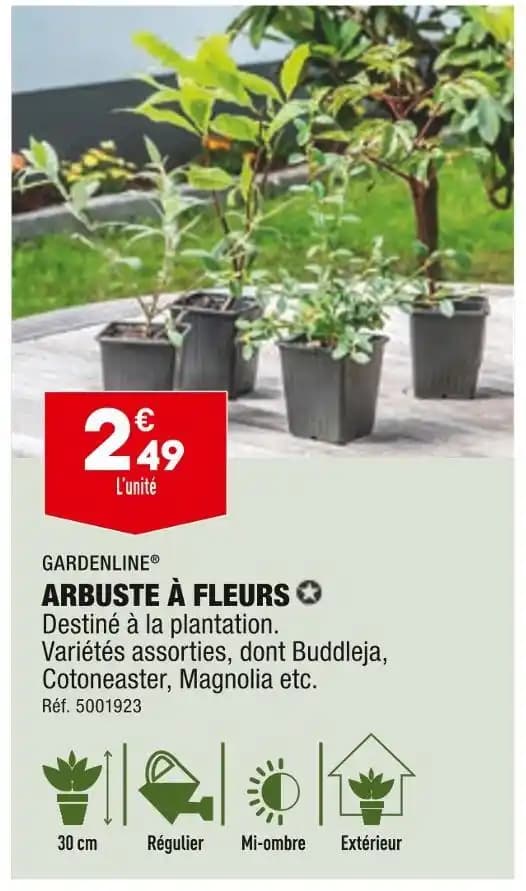 GARDENLINE ARBUSTE À FLEURS