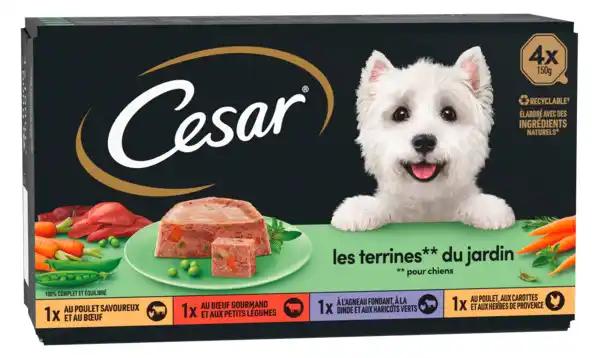 CESAR Pâtée pour chien
