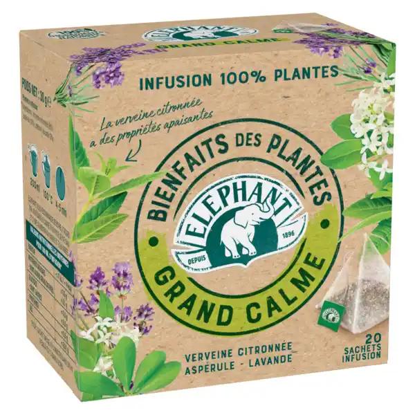 ELEPHANT Infusion 100% plantes