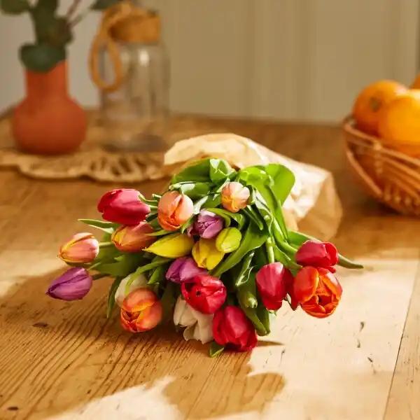 Bouquet de 20 tulipes (h)