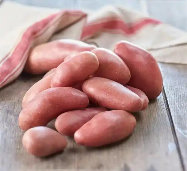 Pomme de terre vapeur rouge FILIÈRE QUALITÉ CARREFOUR