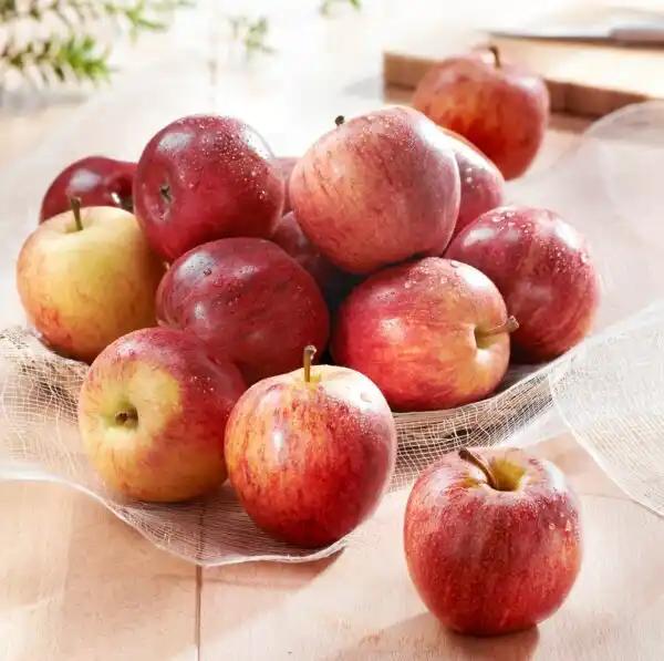 Pomme Gala FILIÈRE QUALITÉ CARREFOUR