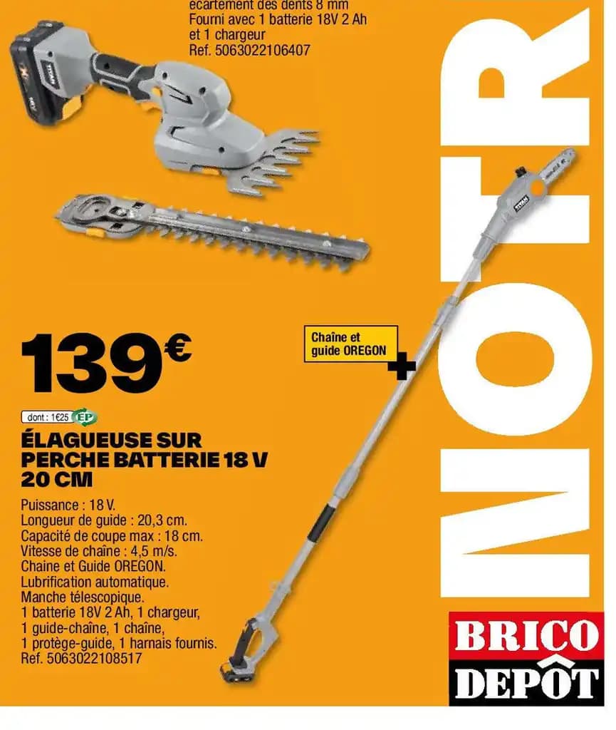 ÉLAGUEUSE SUR PERCHE BATTERIE 18 V 20 CM