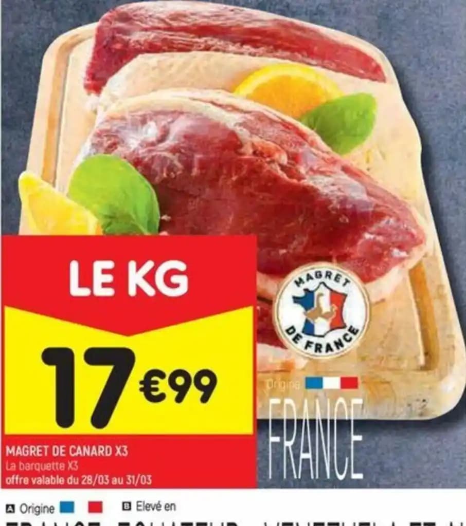 MAGRET DE CANARD X3