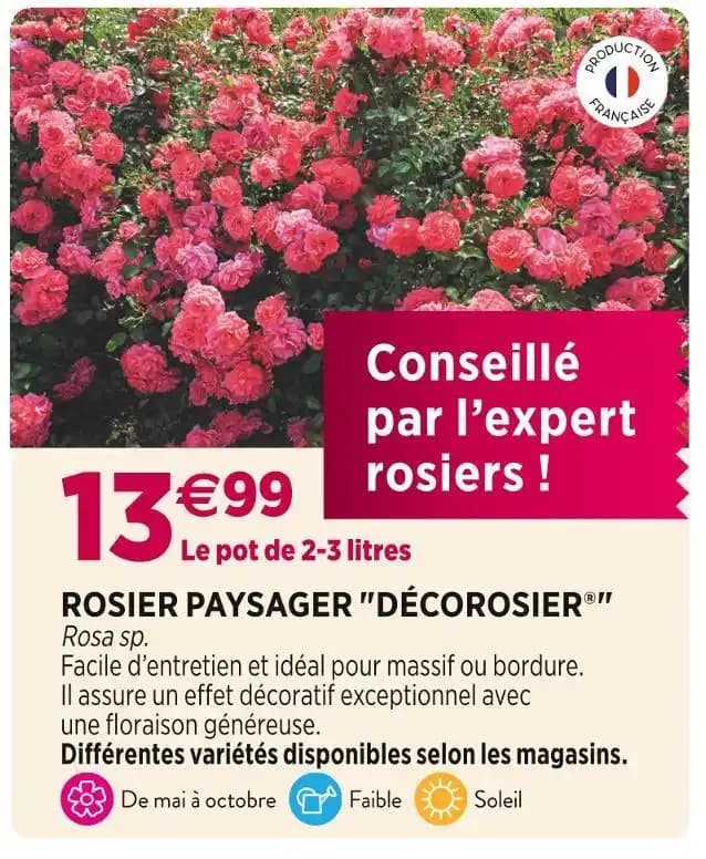 ROSIER PAYSAGER DÉCOROSIER