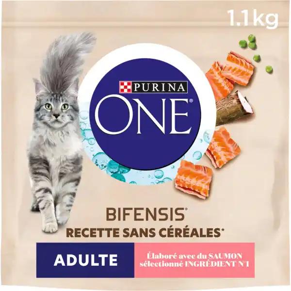 PURINA ONE Croquettes Bifensis pour chats