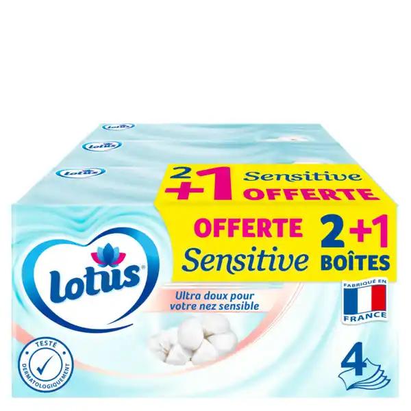 LOTUS Boîtes de mouchoirs