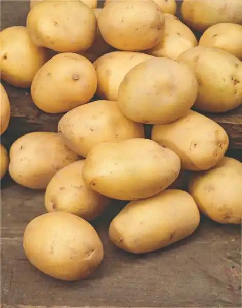 Pommes de terre de consommation blanche CARREFOUR Le Marché