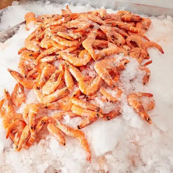 Crevette rose cuite ASC
