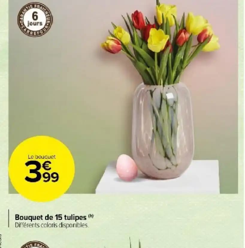 Bouquet de 15 tulipes