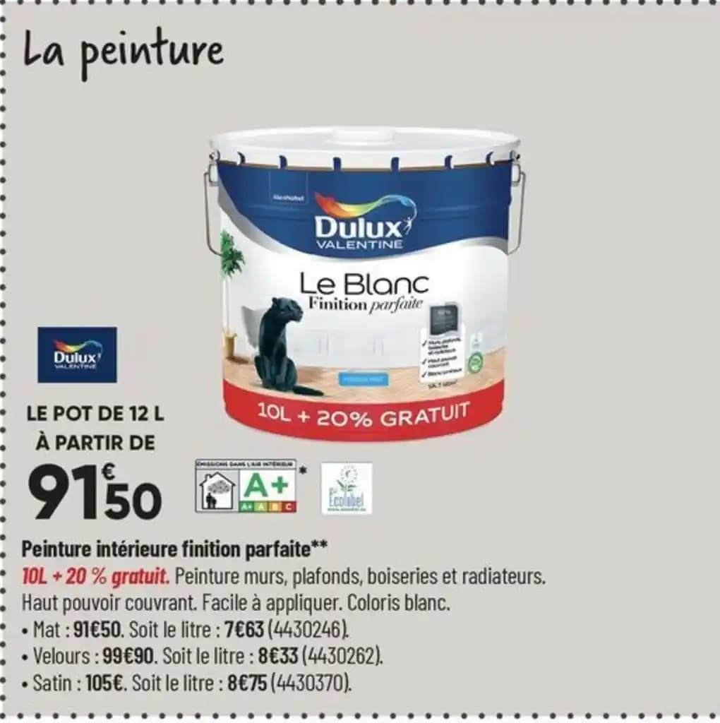 Peinture intérieure finition parfaite**