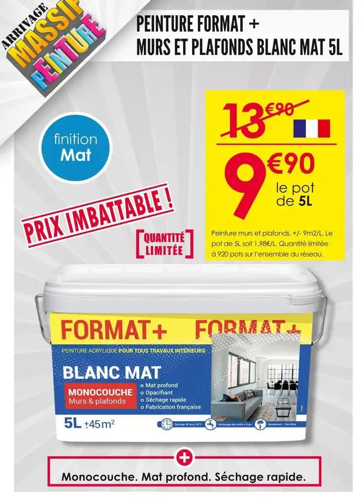 PEINTURE FORMAT + MURS ET PLAFONDS BLANC MAT 5L