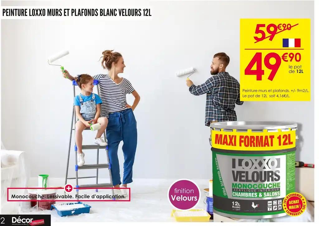 LOXXO PEINTURE MURS ET PLAFONDS BLANC VELOURS 12L