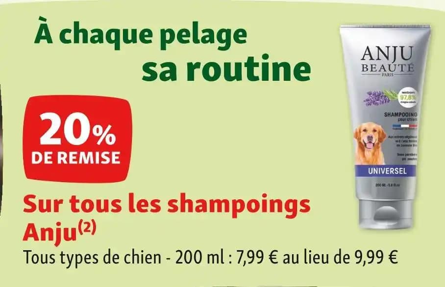 Anju 20% DE REMISE Sur tous les shampoings Anju