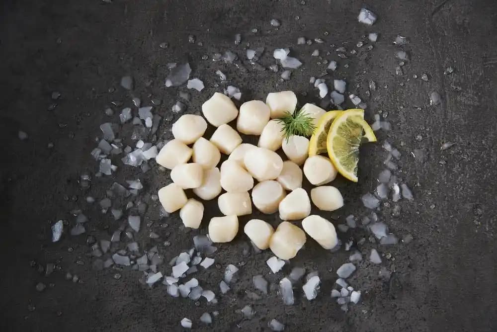 NOIX DE PÉTONCLE BLANCHE