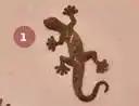 Gardenstar - salamandre en fonte l.25cm