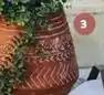 Gardenstar - pot terre cuite ethentique
