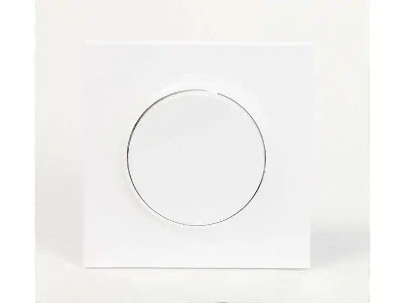 Plaque simple Odace Styl, SCHNEIDER ELECTRIC, blanc
