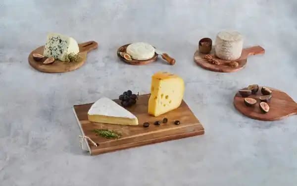 P'tit Basque brebis d'Istara