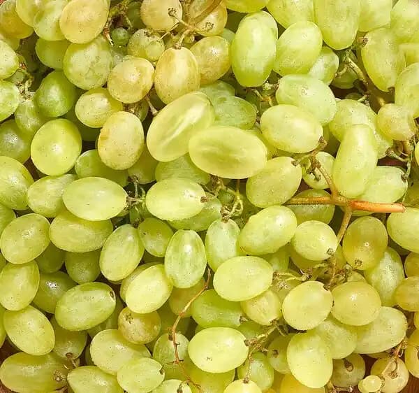 Raisin blanc sans pépins CARREFOUR Le Marché