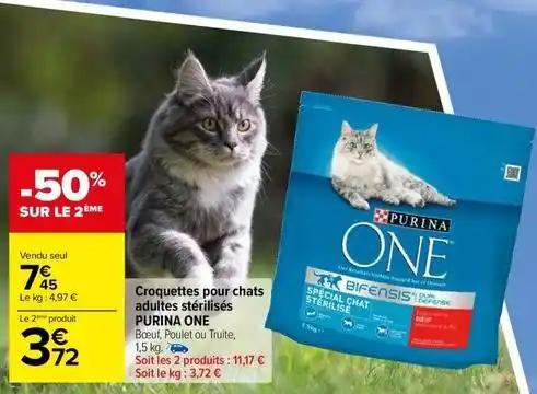 Croquettes pour chats