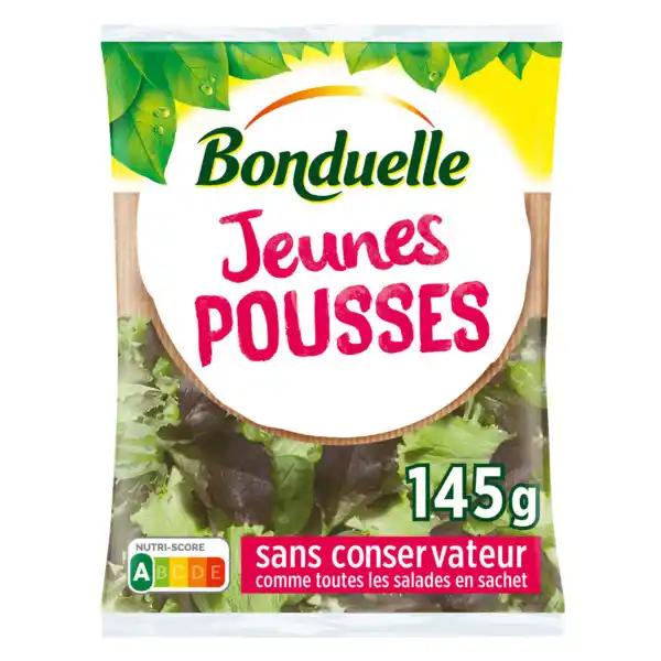 Salade jeunes pousses BONDUELLE