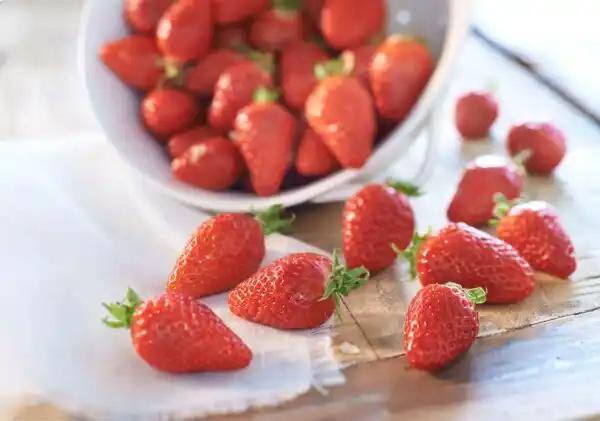 Fraise Gariguette