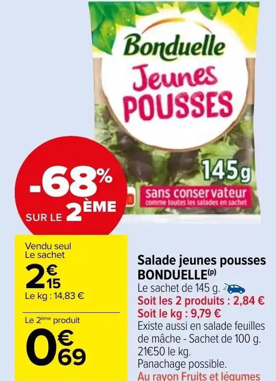 Salade jeunes pousses BONDUELLE (P)