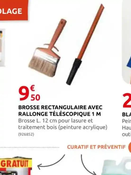 BROSSE RECTANGULAIRE AVEC RALLONGE TÉLÉSCOPIQUE 1 M
