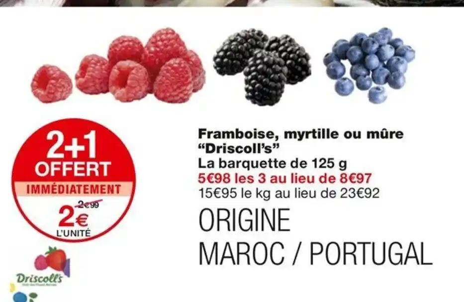 Framboise, myrtille ou mûre Driscoll's