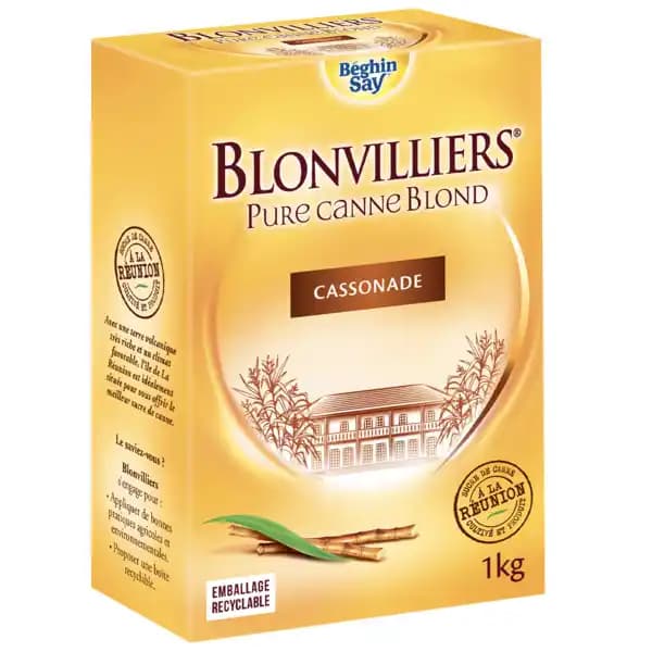 BEGHIN SAY Sucre en poudre Pure Canne BLONVILLIERS
