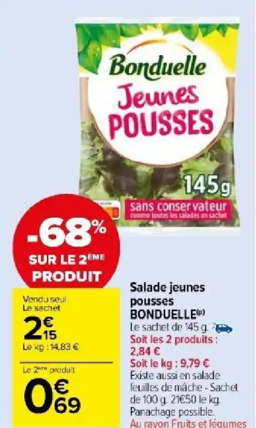 Salade jeunes pousses BONDUELLE(P)